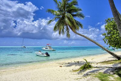 Boats anchored at Tahiti shore with coconut trees